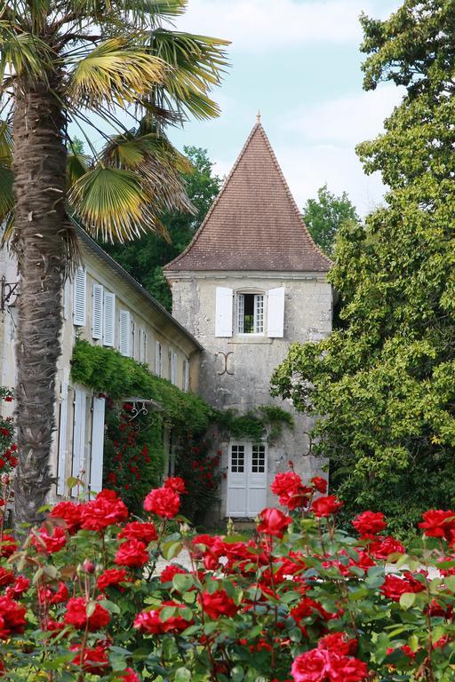 Chateau De Puyrigaud Bed & Breakfast Leoville Luaran gambar